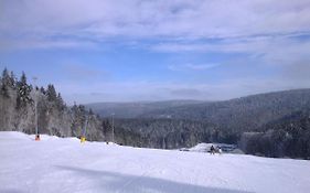 Modern Apartment in Schnett Thuringia near Ski area