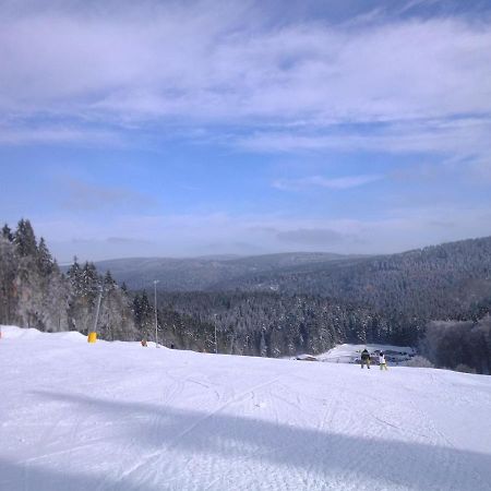 Apartment In Schnett Near The Ski Area Exterior foto